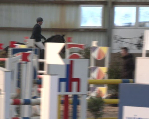 Reitturnier Ibbenbüren 2024