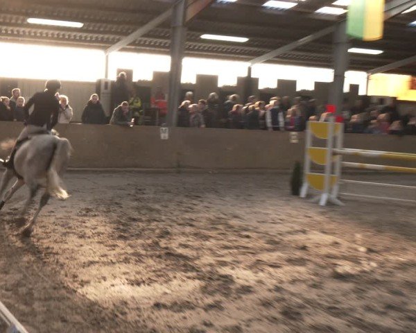 Reitturnier Ibbenbüren 2024