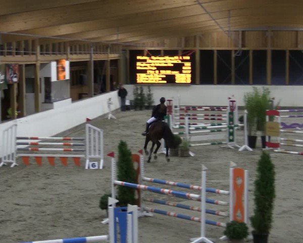 Reitturnier Fleesensee Classic´s 2024