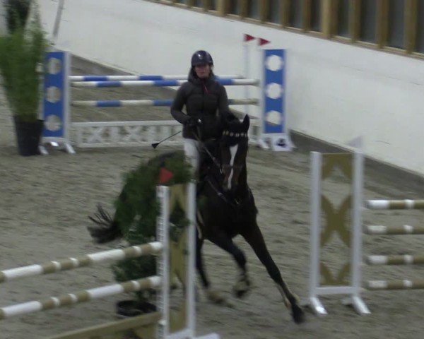 Reitturnier Fleesensee Classic´s 2024