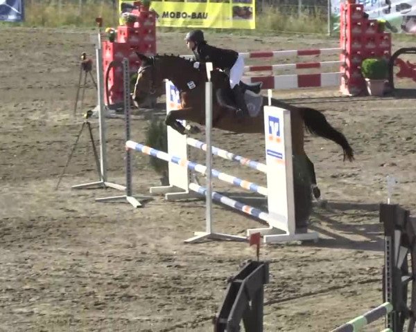 Leutkirch-Haid 2013