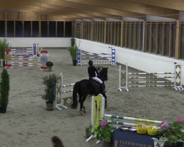 Reitturnier Fleesensee Classic´s 2024