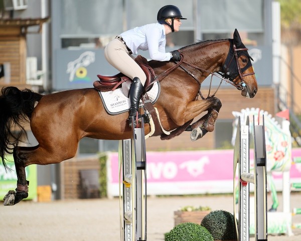 jumper Nonanka VDL (KWPN (Royal Dutch Sporthorse), 2018, from Inaico)