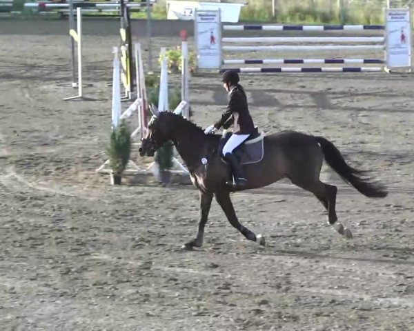 Leutkirch-Haid 2013