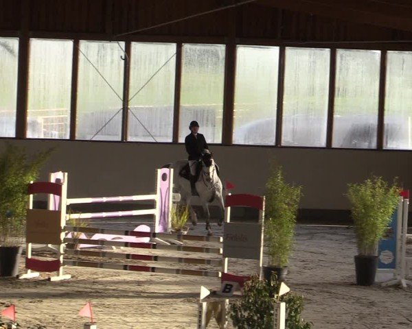 Reitturnier Fleesensee Classic´s 2024