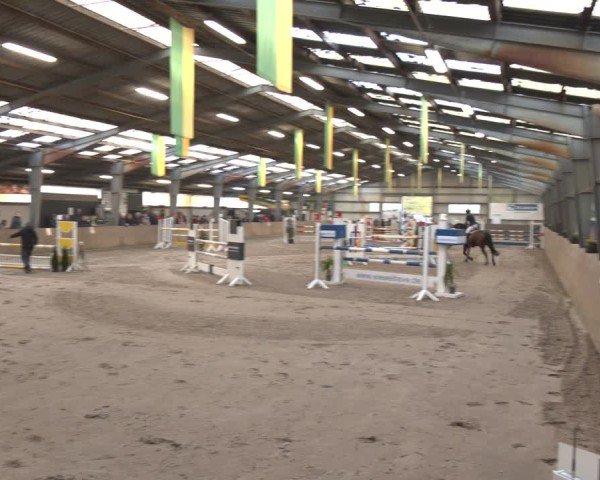 Reitturnier Ibbenbüren 2024