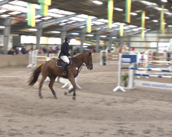 Reitturnier Ibbenbüren 2024