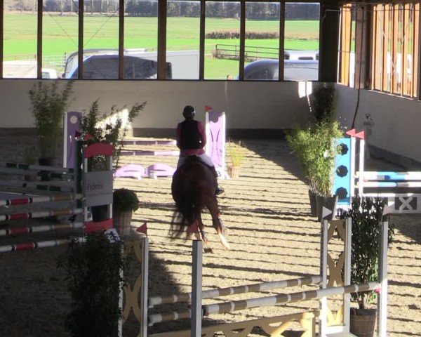 Reitturnier Fleesensee Classic´s 2024
