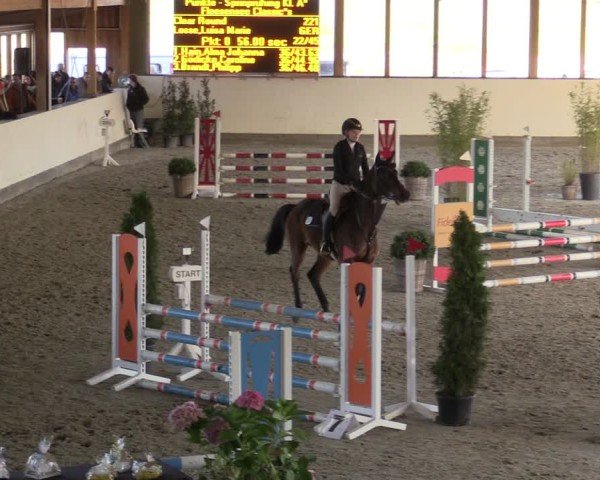 Reitturnier Fleesensee Classic´s 2024