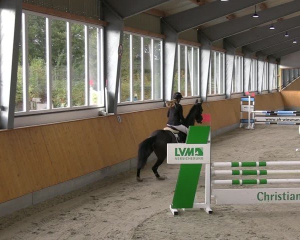 Reitturnier Münster-Amelsbüren 2024