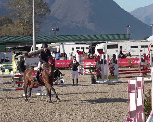 Reitturnier Giubiasco 2024