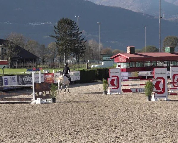 Reitturnier Giubiasco 2024