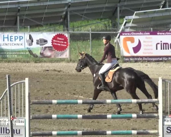 Leutkirch-Haid 2013