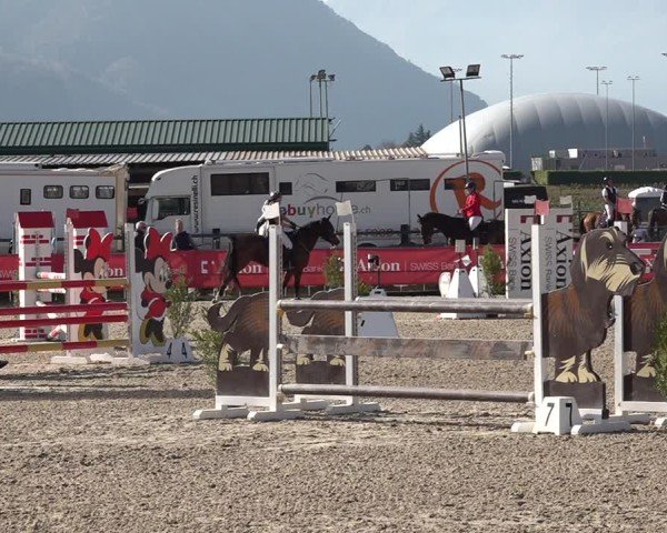 Reitturnier Giubiasco 2024