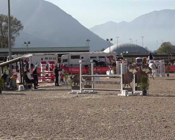 Reitturnier Giubiasco 2024