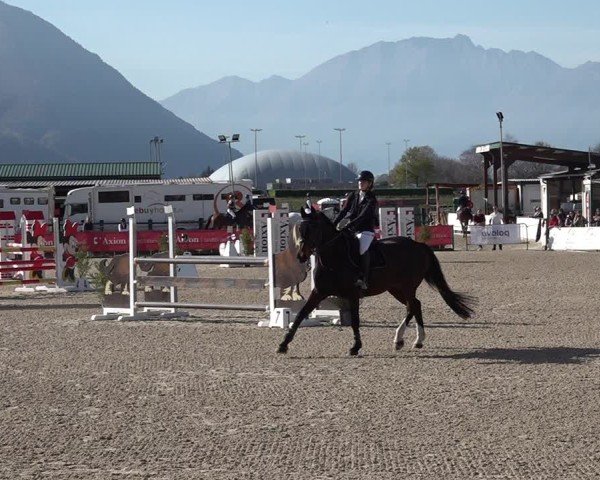 Reitturnier Giubiasco 2024