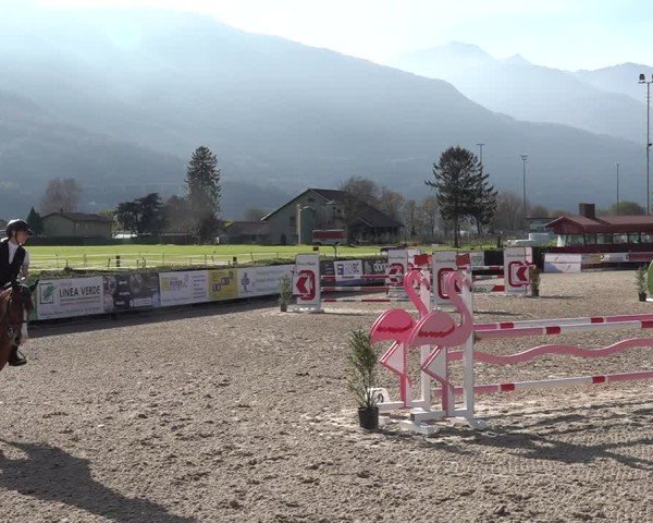 Reitturnier Giubiasco 2024