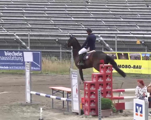Leutkirch-Haid 2013