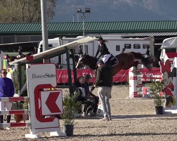 Reitturnier Giubiasco 2024