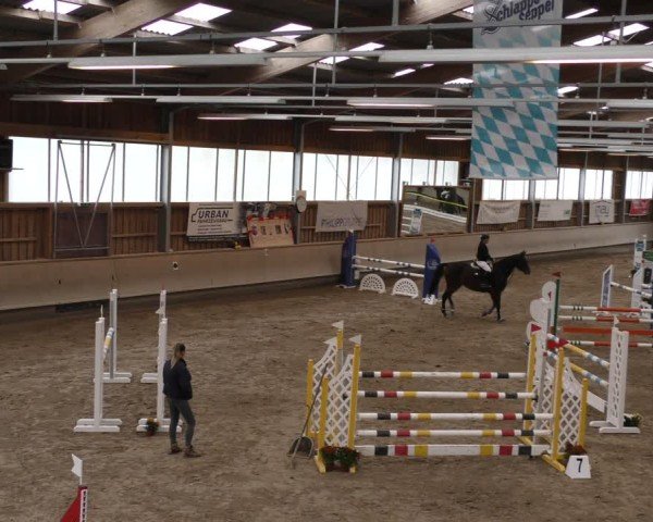Reitturnier Krombach/Hof-Hauenstein/Ufr. 2024