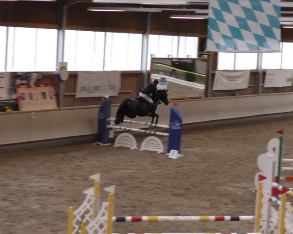 Reitturnier Krombach/Hof-Hauenstein/Ufr. 2024