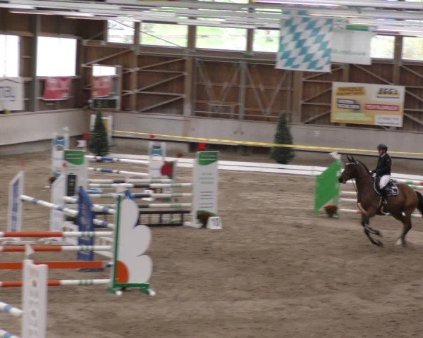 Reitturnier Krombach/Hof-Hauenstein/Ufr. 2024