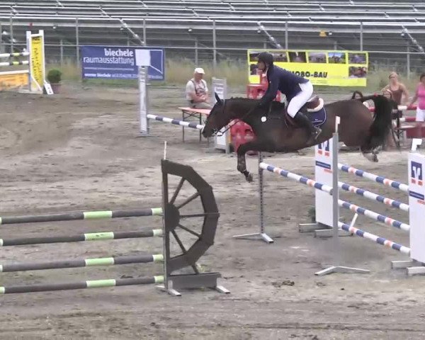 Leutkirch-Haid 2013
