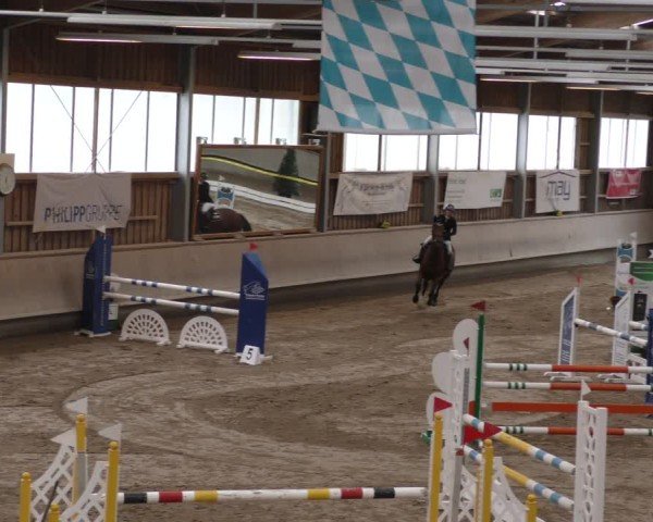 Reitturnier Krombach/Hof-Hauenstein/Ufr. 2024