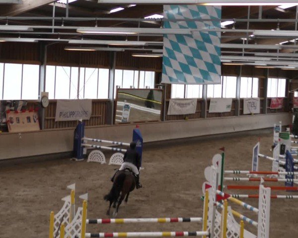 Reitturnier Krombach/Hof-Hauenstein/Ufr. 2024