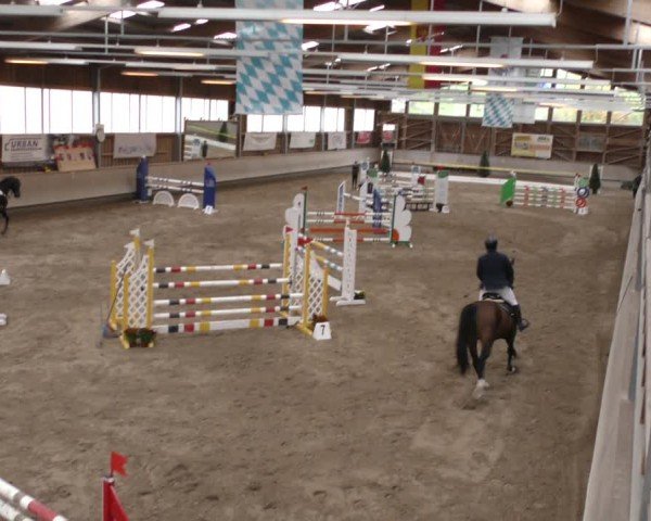 Reitturnier Krombach/Hof-Hauenstein/Ufr. 2024