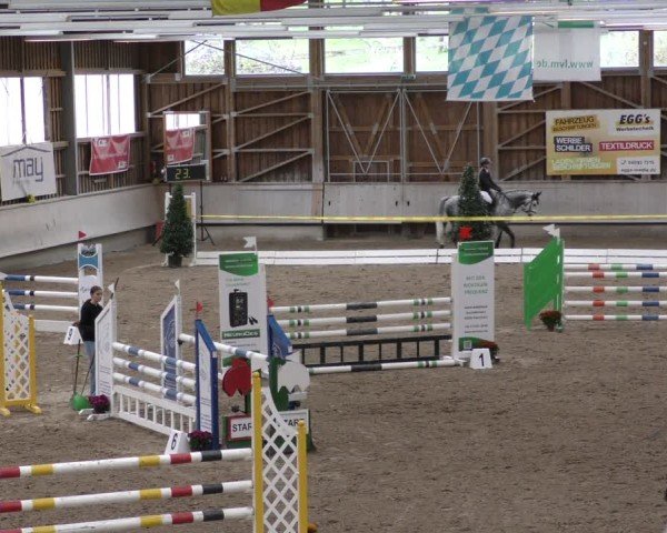 Reitturnier Krombach/Hof-Hauenstein/Ufr. 2024