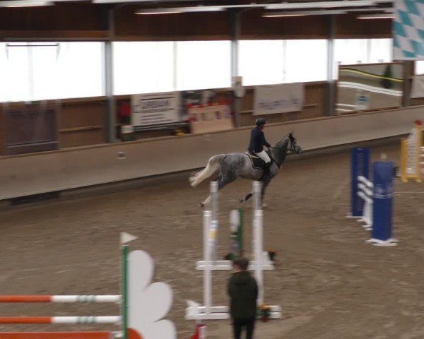 Reitturnier Krombach/Hof-Hauenstein/Ufr. 2024