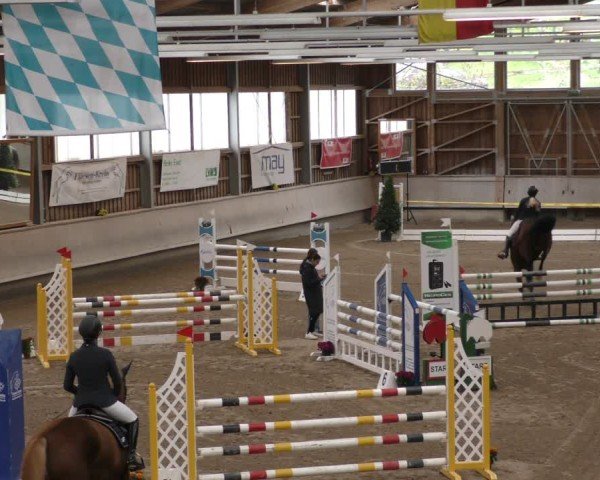Reitturnier Krombach/Hof-Hauenstein/Ufr. 2024