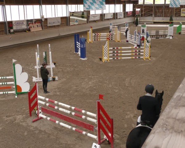 Reitturnier Krombach/Hof-Hauenstein/Ufr. 2024
