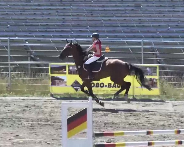 Leutkirch-Haid 2013