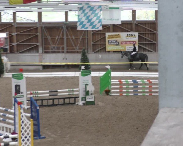 Reitturnier Krombach/Hof-Hauenstein/Ufr. 2024