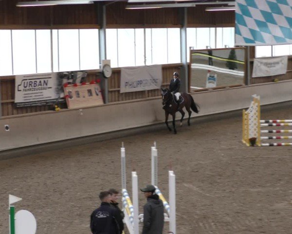 Reitturnier Krombach/Hof-Hauenstein/Ufr. 2024