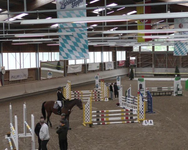 Reitturnier Krombach/Hof-Hauenstein/Ufr. 2024