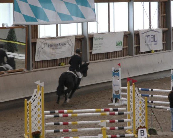 Reitturnier Krombach/Hof-Hauenstein/Ufr. 2024