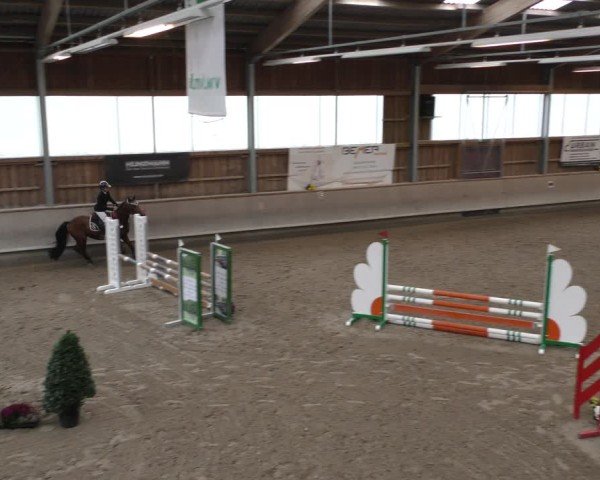 Reitturnier Krombach/Hof-Hauenstein/Ufr. 2024