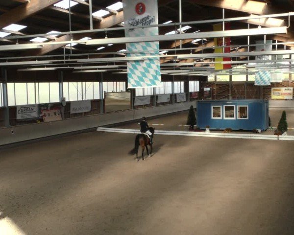 Reitturnier Krombach/Hof-Hauenstein/Ufr. 2024