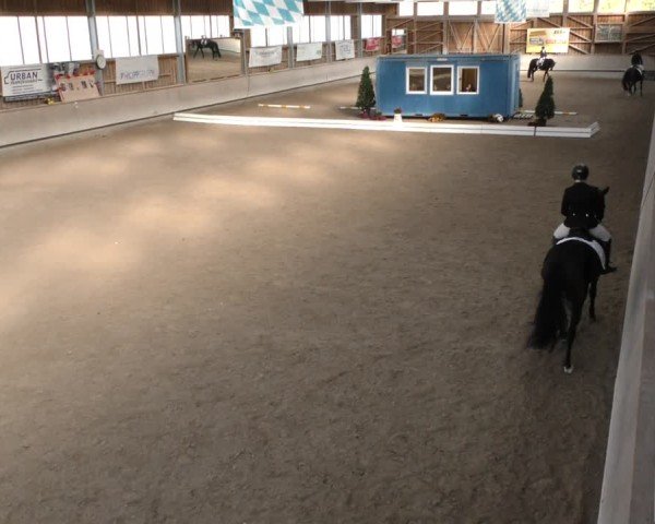 Reitturnier Krombach/Hof-Hauenstein/Ufr. 2024