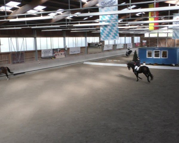 Reitturnier Krombach/Hof-Hauenstein/Ufr. 2024