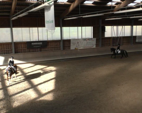 Reitturnier Krombach/Hof-Hauenstein/Ufr. 2024