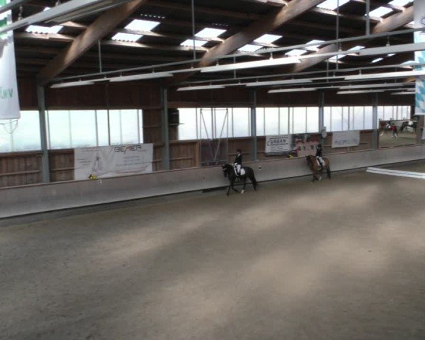 Reitturnier Krombach/Hof-Hauenstein/Ufr. 2024