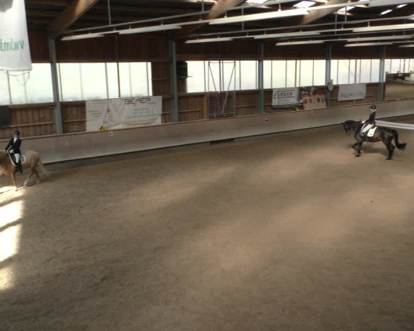 Reitturnier Krombach/Hof-Hauenstein/Ufr. 2024