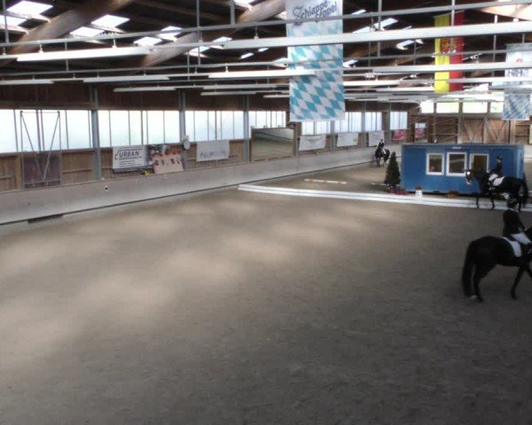 Reitturnier Krombach/Hof-Hauenstein/Ufr. 2024