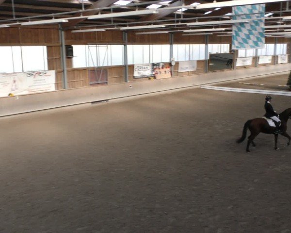 Reitturnier Krombach/Hof-Hauenstein/Ufr. 2024