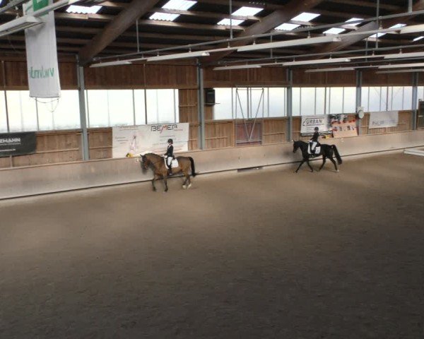 Reitturnier Krombach/Hof-Hauenstein/Ufr. 2024