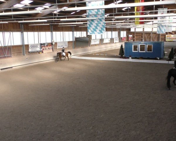 Reitturnier Krombach/Hof-Hauenstein/Ufr. 2024